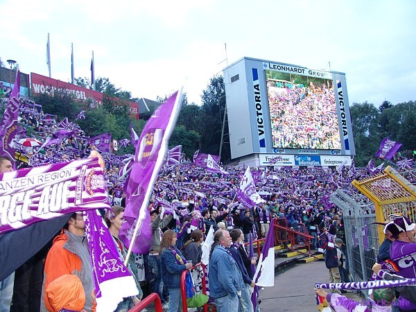Fans 3